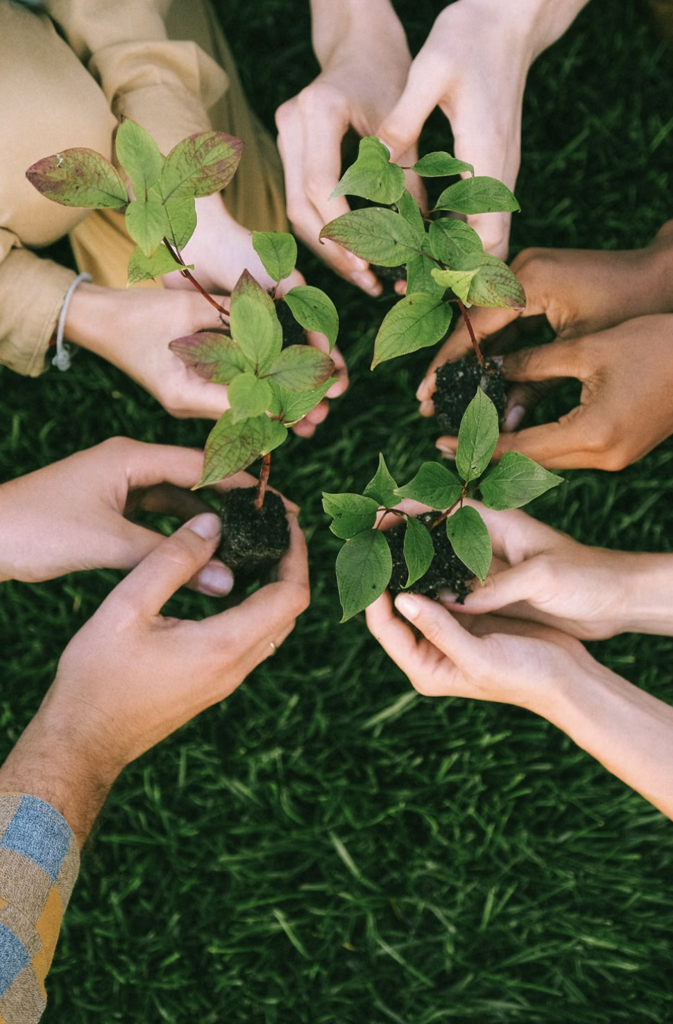 YTU Sustainability & Impact Report 2025